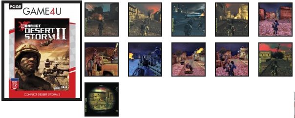 Conflict: Desert Storm 2