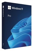 MS Windows Profesional 11   64-bit Slovak USB