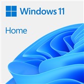 MS Windows Home 11  64-bit Slovak USB