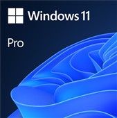 OEM MS Windows Pro 11 64-bit  Slovak DVD, licencia